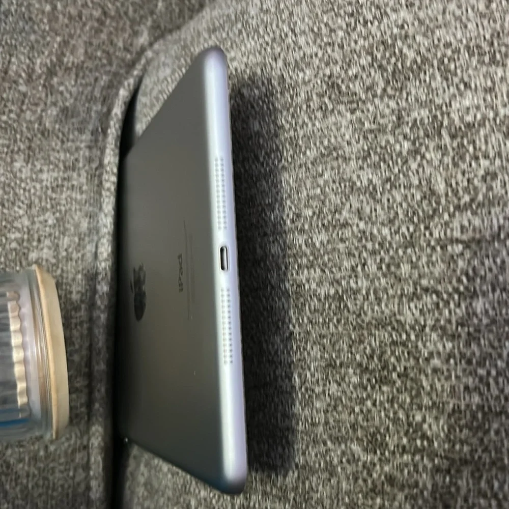 Apple this ipad